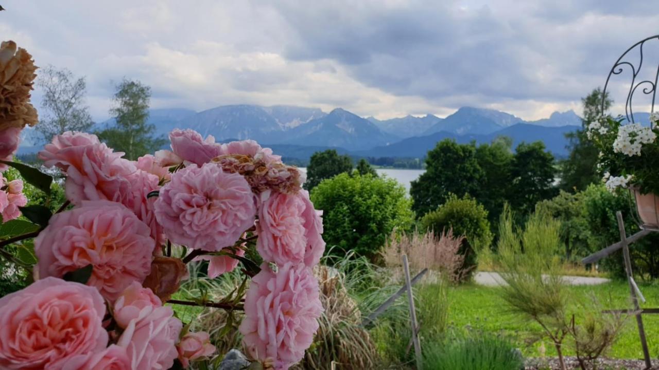 Landhaus Amberg Hopfen Am See // Hopfensee // Fuessen Luaran gambar