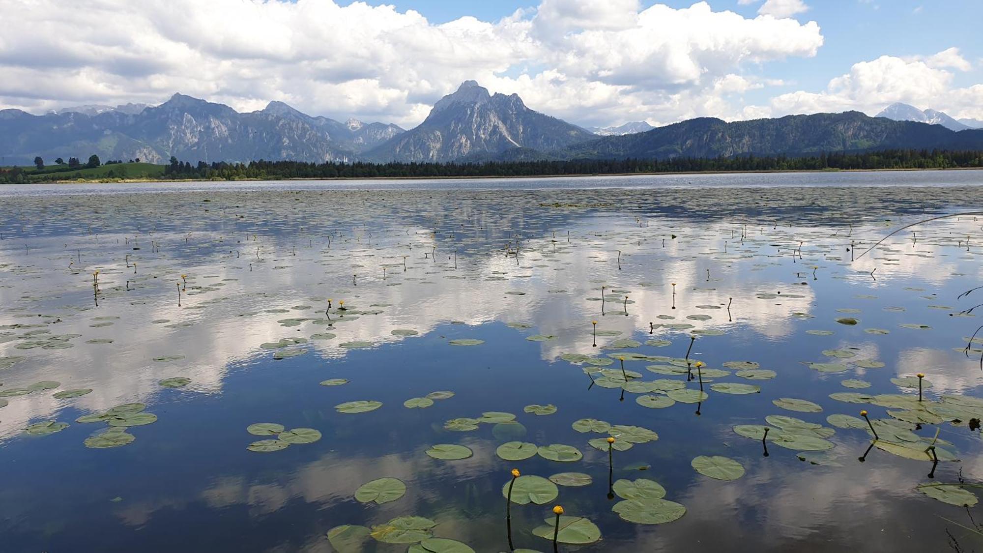 Landhaus Amberg Hopfen Am See // Hopfensee // Fuessen Luaran gambar